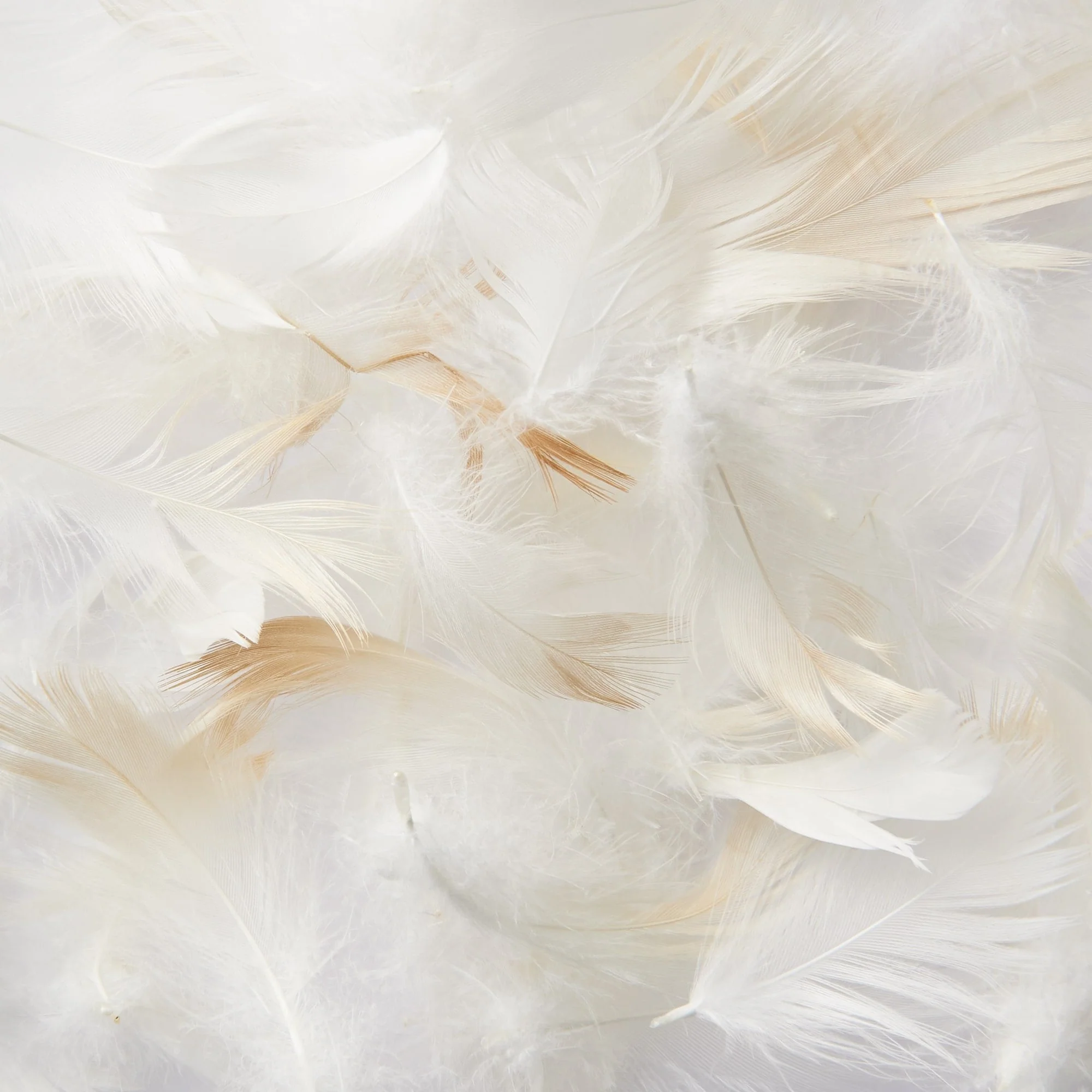 Feather Pillow - Image 6