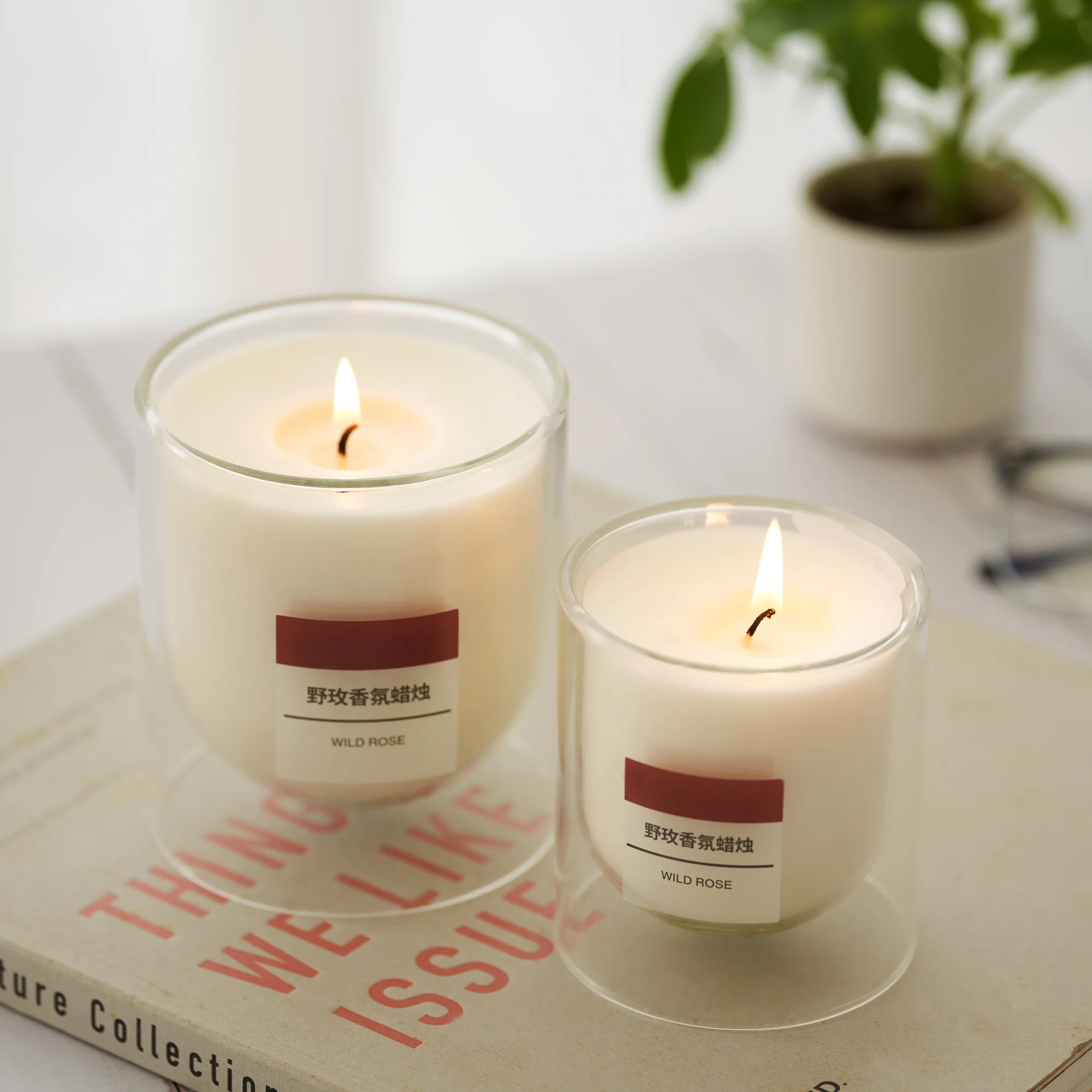 Scented Double Wall Glass Candle - Wild Rose - Image 14